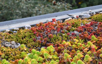 the cost of West Ginge green roof installation