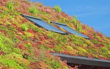 West Ginge living roof systems